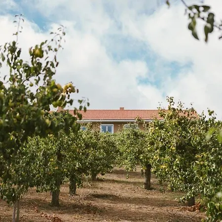Villa Advania Lourinha (Lisbon)